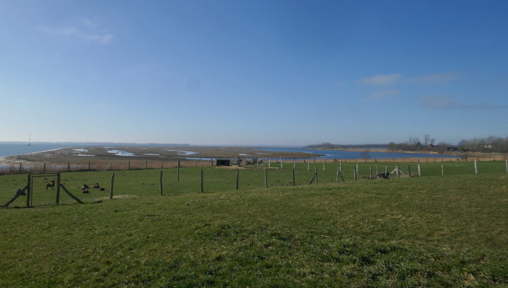 Blick über das Naturschutzgebiet "Fauler See - Rustwerder"