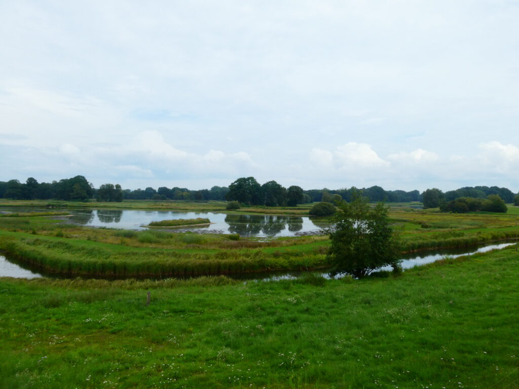 Blick vom Aussichtsturm auf das Steinhorster Becken