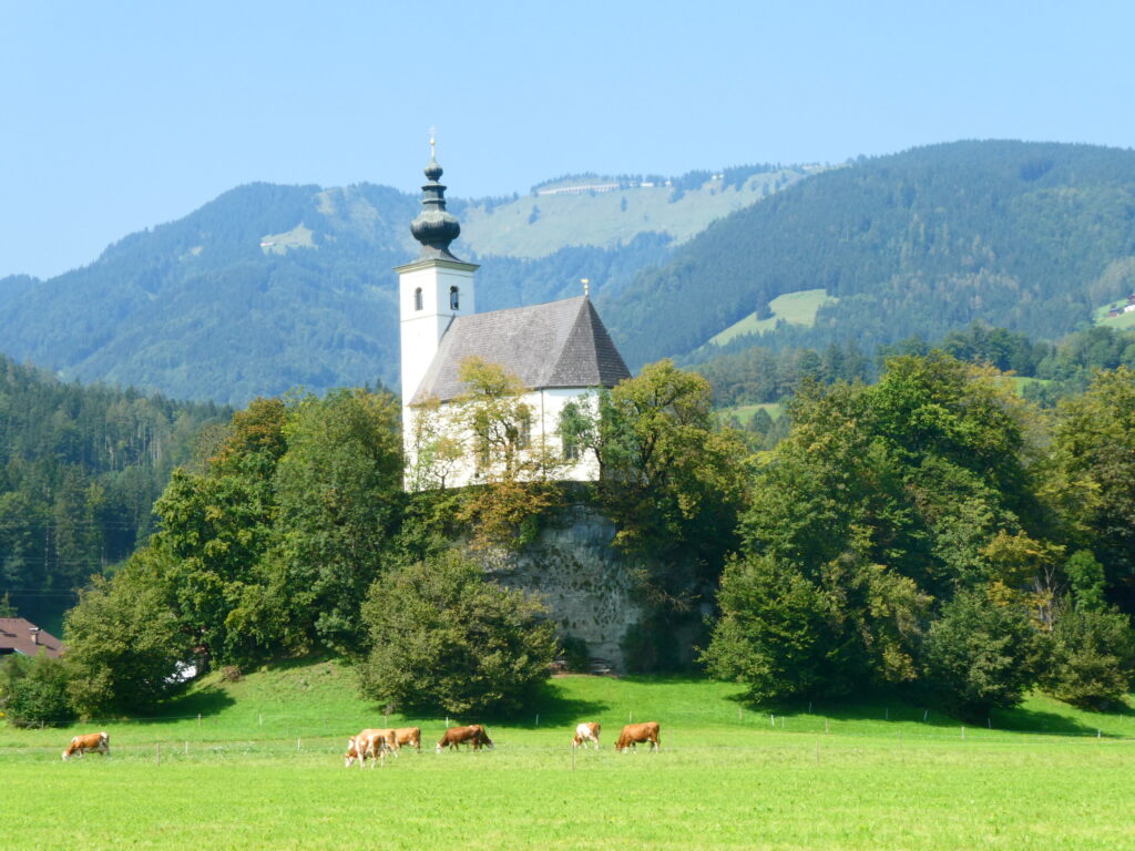 das Bild zeigt in der Mitte eine kleine Kirche auf einem Hügel, davor grasen Kühe auf einer Weide. Im Hintergrund sieht man Berge.